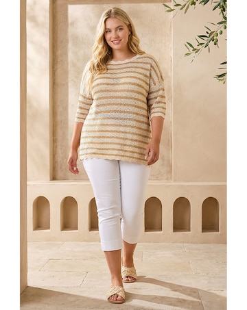 Roman Curve Scallop Hem Stripe Knit