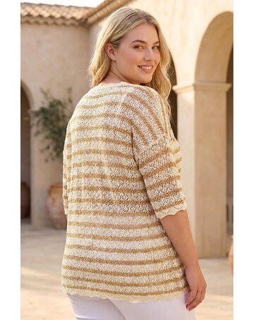 Roman Curve Scallop Hem Stripe Knit
