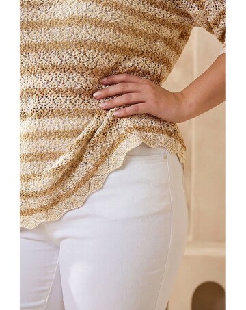 Roman Curve Scallop Hem Stripe Knit