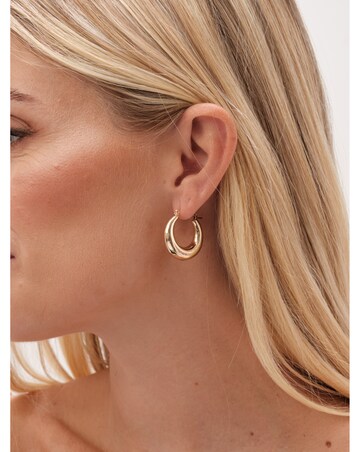 Jon Richard Gold Plated Graduated Hoop Earrings