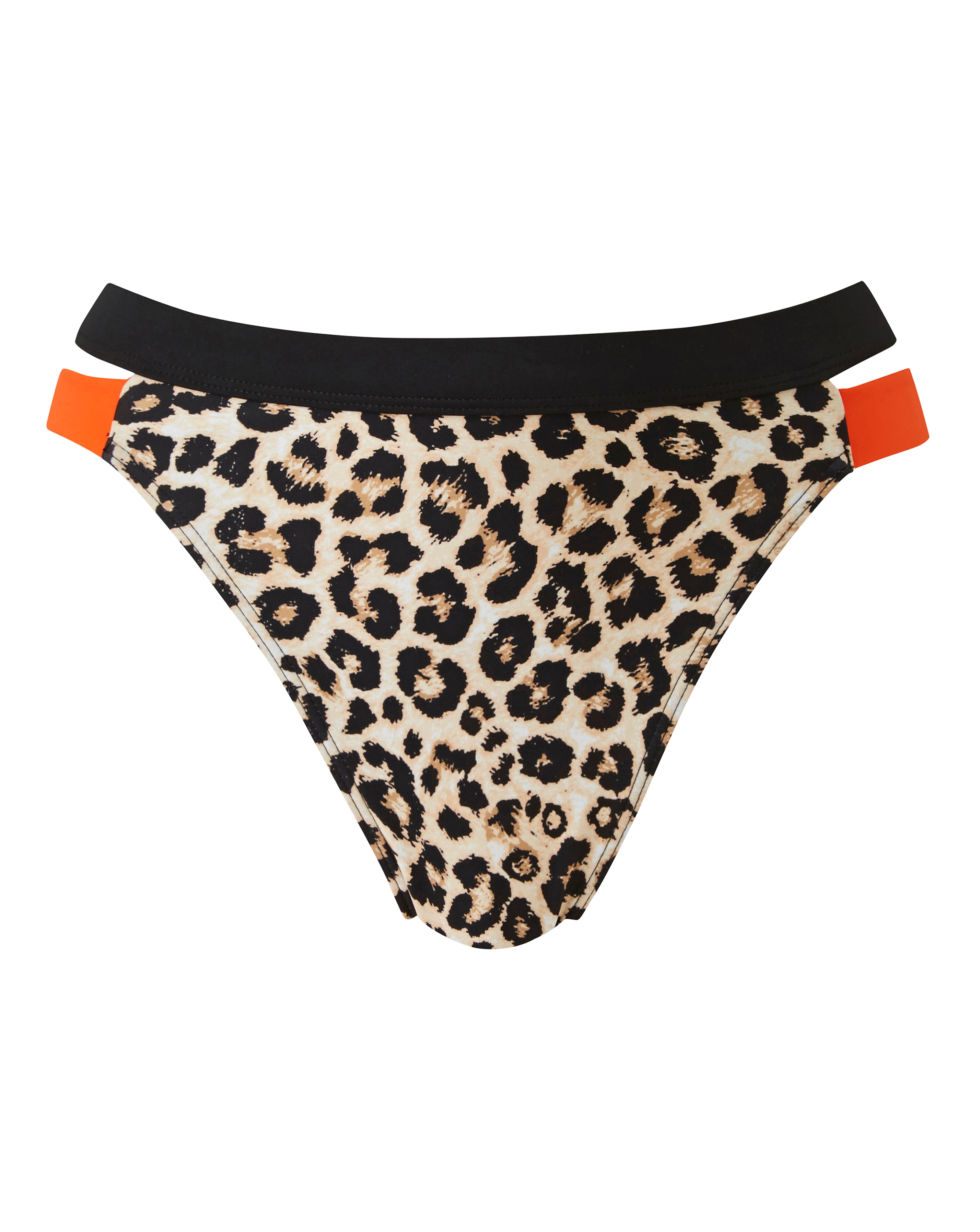 Animal Print Hipster Bikini Brief