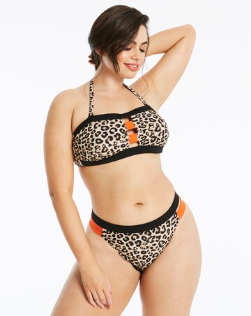 Animal Print Hipster Bikini Brief