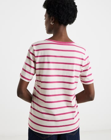 3 Pack V-Neck T-Shirts