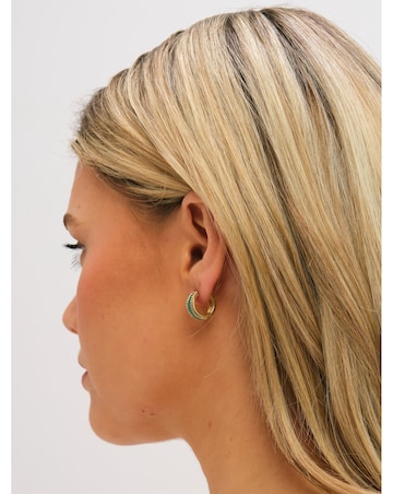 Jon Richard Gold Plated Crystal and Malachite Hoop Earrings