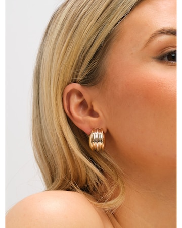 Mood Two Tone Dome Earrings