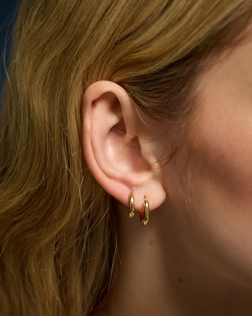 Accessorize Gold-Plated Hoop Earrings