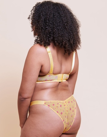 Curvy Kate Cool Cat Tanga