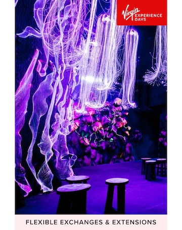 Avora: Immersive Cocktail Experience for Two E - Voucher