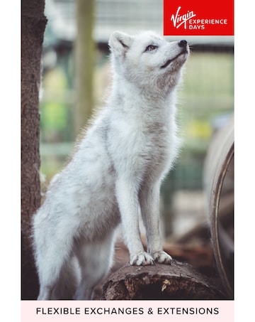 Hoo Zoo and Dinosaur World Wild Wolf Breakfast for Two E - Voucher