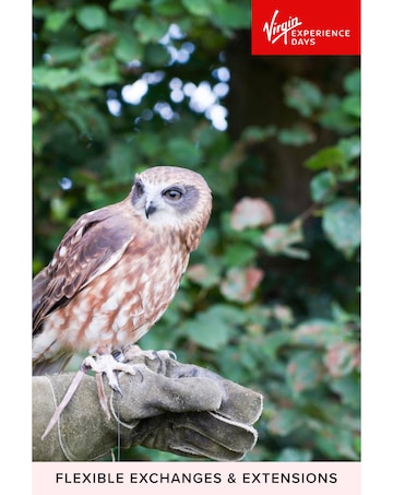 Millets Wildside Two Hour Falconry Taster for Two E - Voucher
