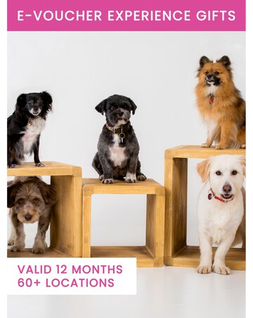 Activity Superstore Pet Portrait