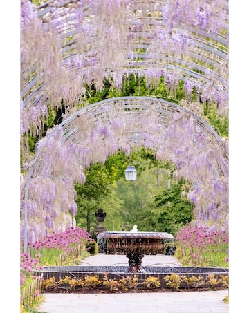 Visit to a RHS Garden for Two E-Voucher - 5 Locations