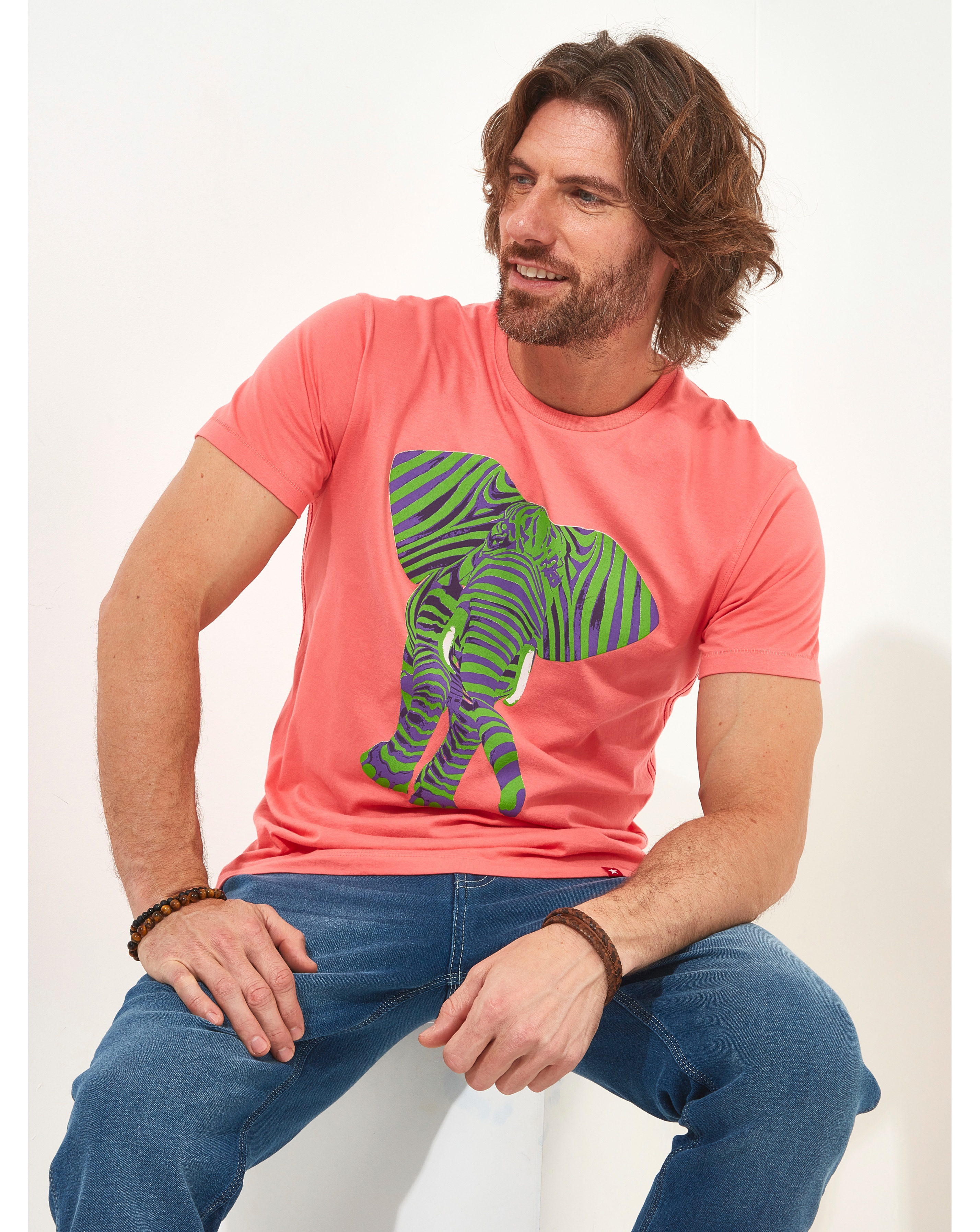 Joe Browns Superb Stripe Elephant Tee
