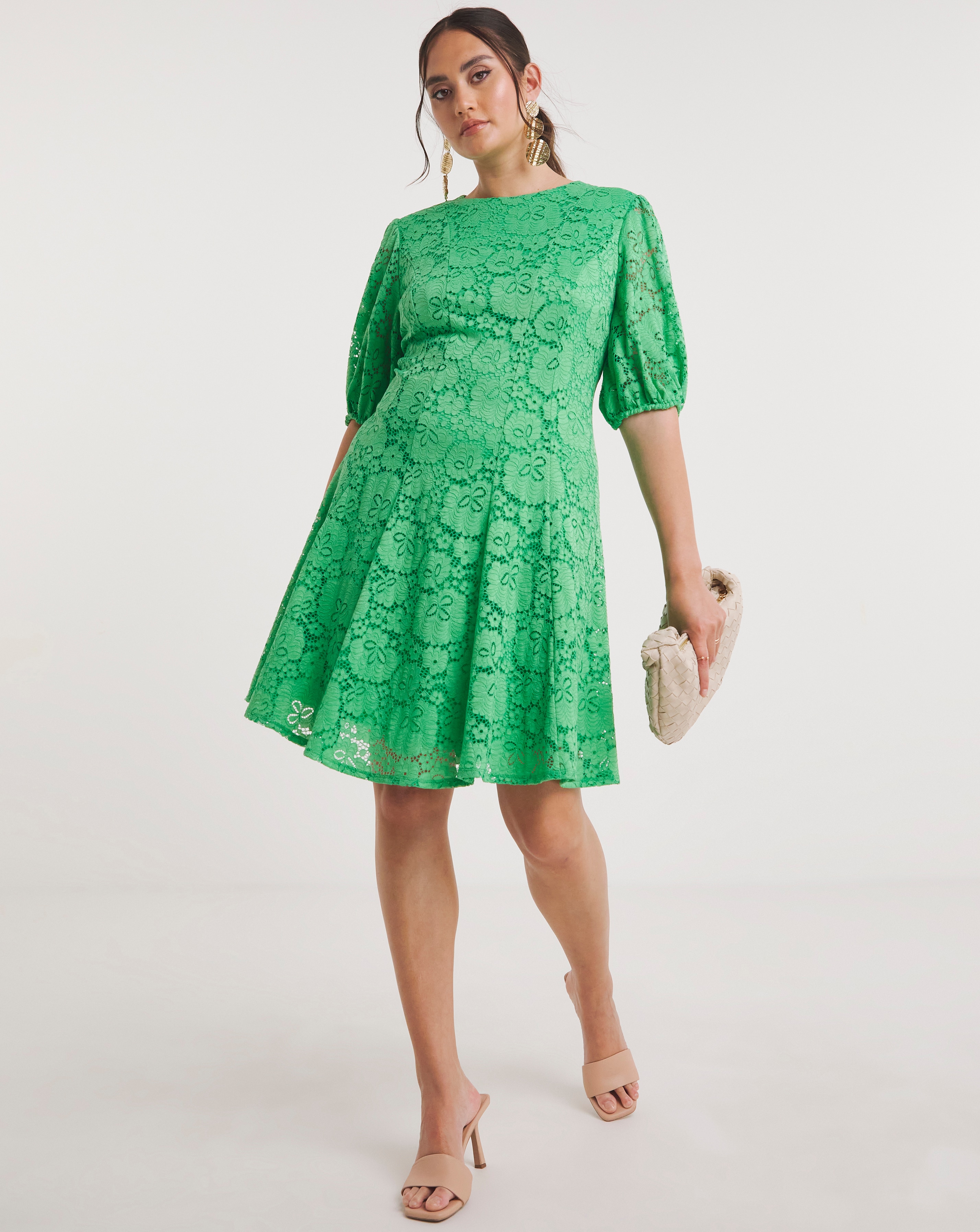 Joanna Hope Stretch Lace Skater Dress