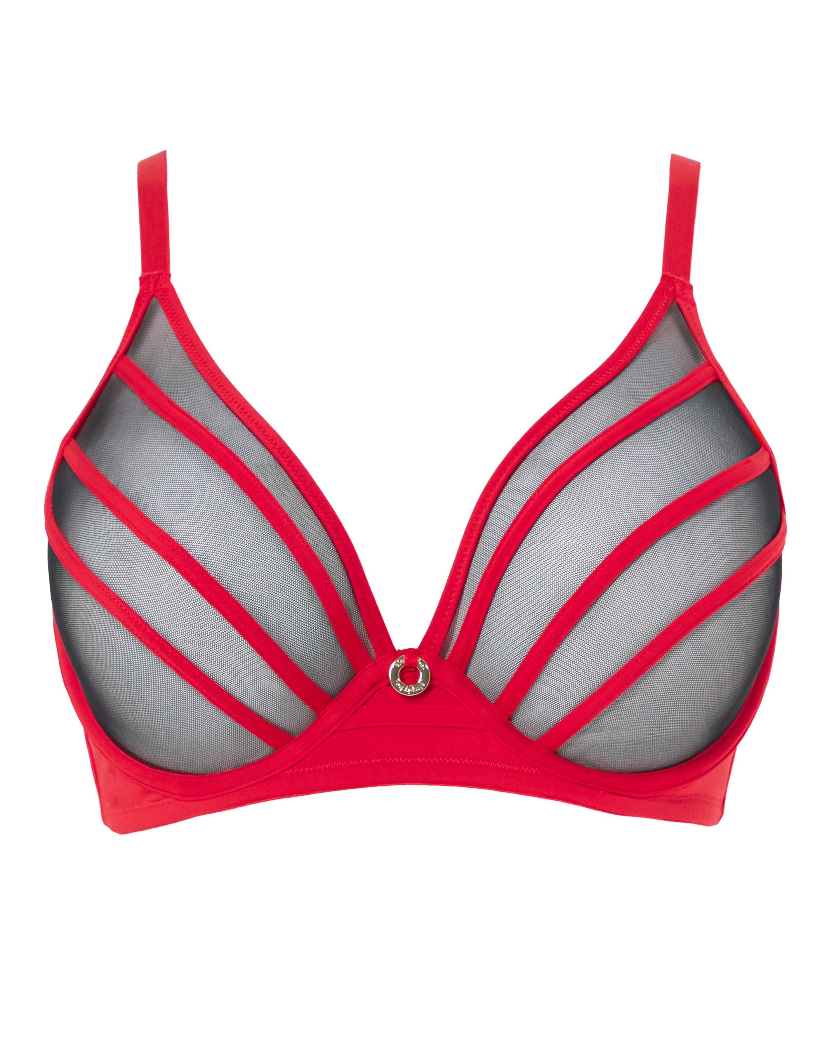 Sexy Sheer Mesh Plunge Bra