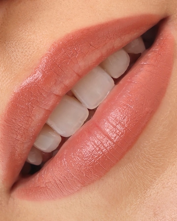 Project Lip Plump and Fill Lip Liner Touch