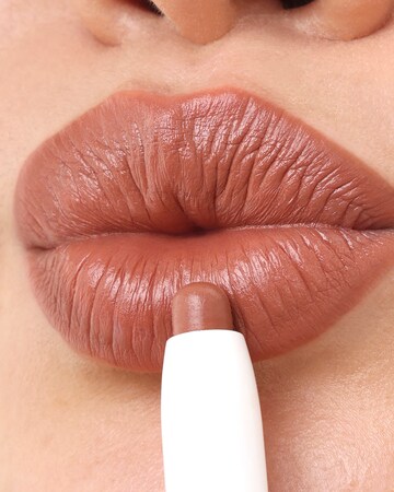 Project Lip Plump and Fill Lip Liner Nudie