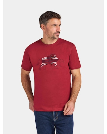 Raging Bull Slash Bull T-Shirt Claret