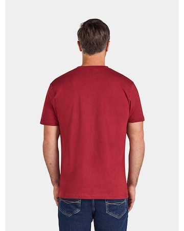 Raging Bull Slash Bull T-Shirt Claret