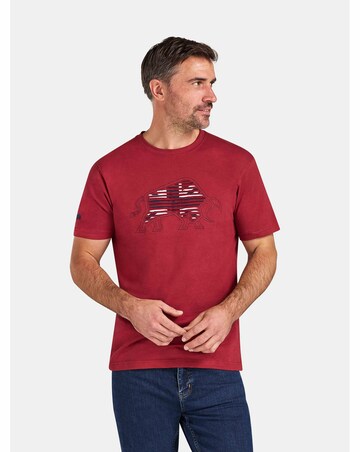 Raging Bull Slash Bull T-Shirt Claret