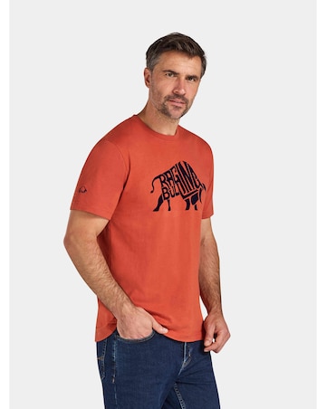 Raging Bull Flock Bull T-Shirt Orange