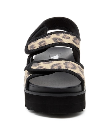 Rocket Dog Balmy Dexter Sandal