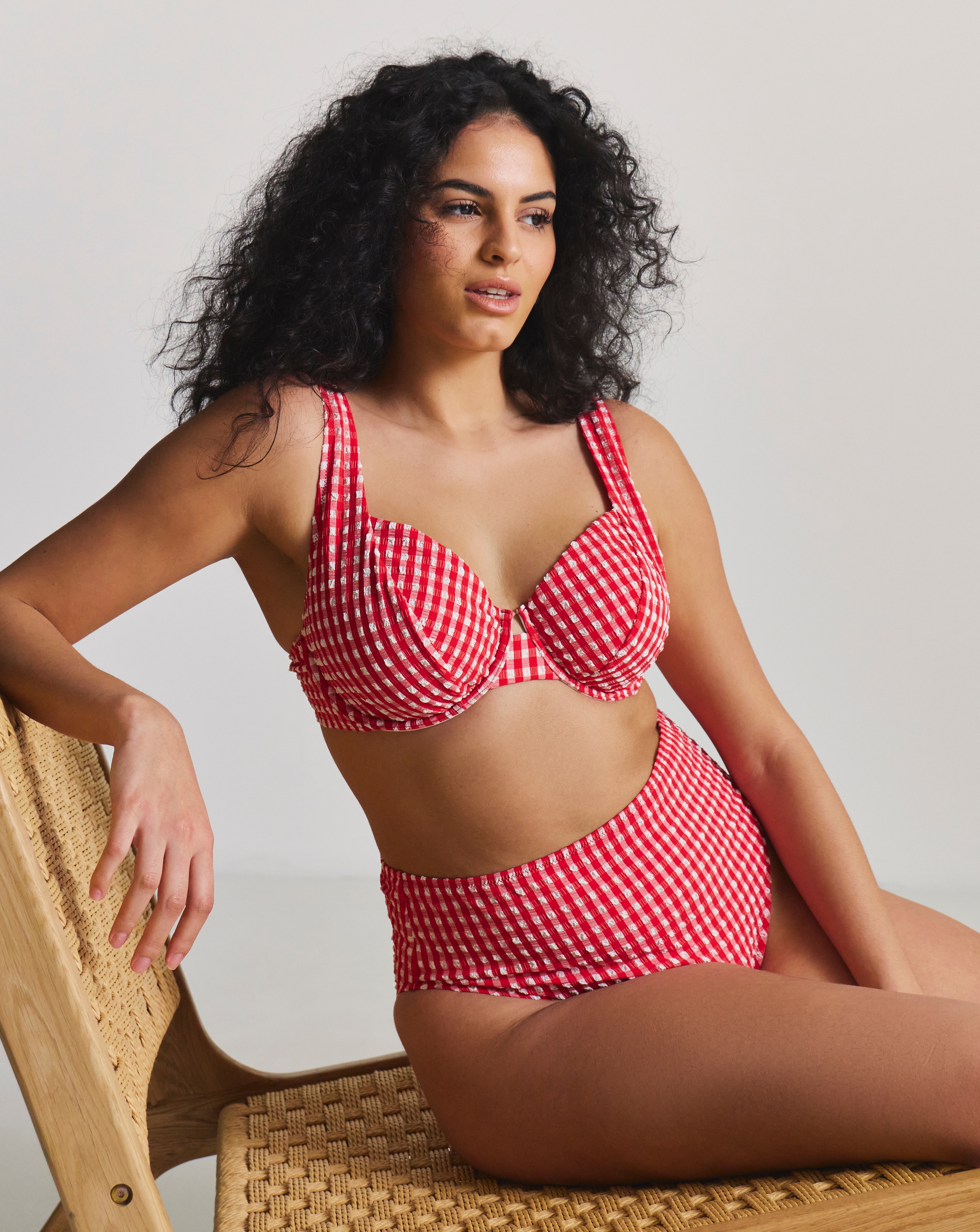 New In - Gingham High Waist Bikini Brief