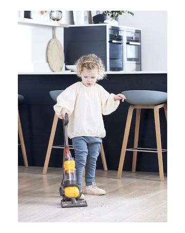 Dyson Ball Cleaner