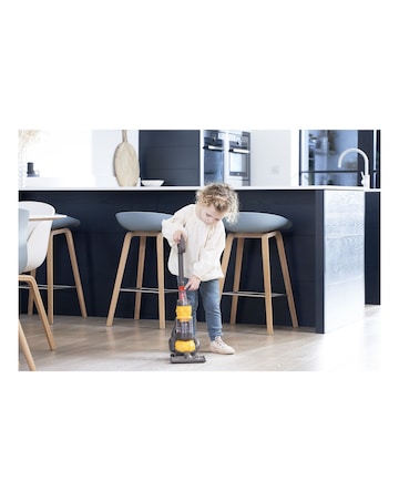 Dyson Ball Cleaner