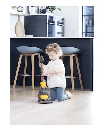 Dyson Ball Cleaner