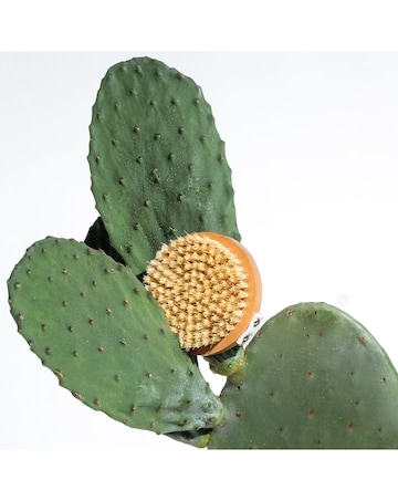 Legology Lymph-Lite Boom Brush for Body