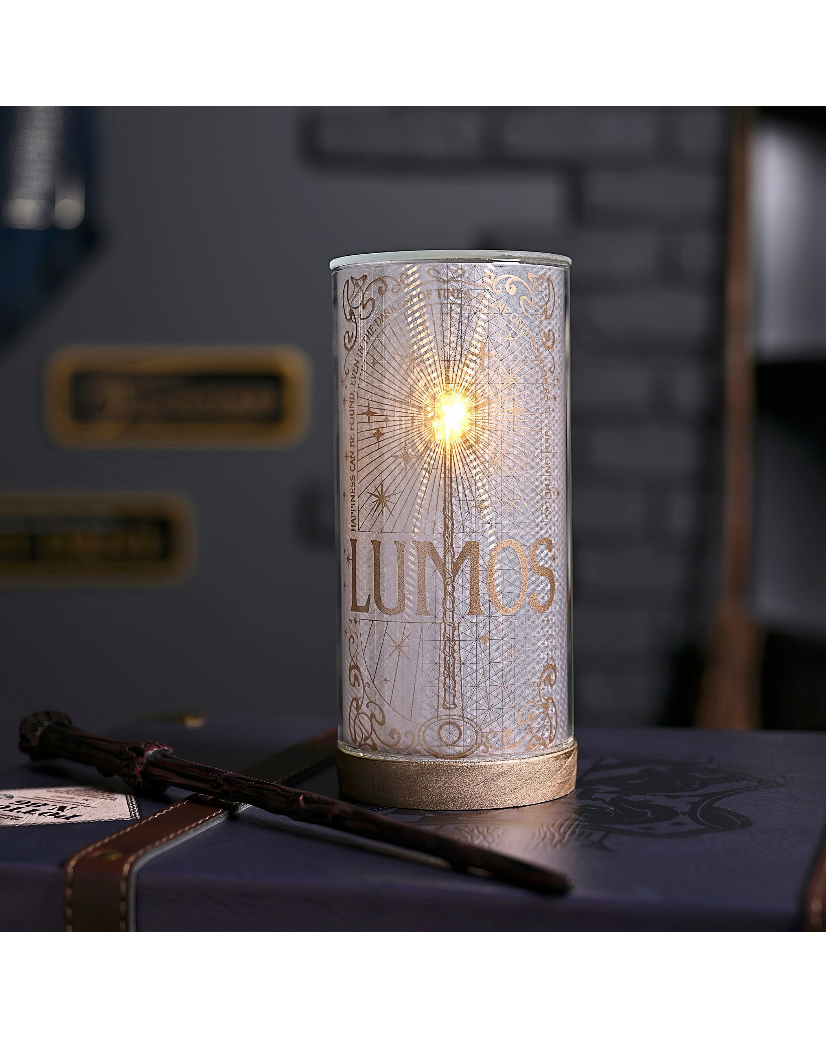 Warner Bros Harry Potter Tube Light
