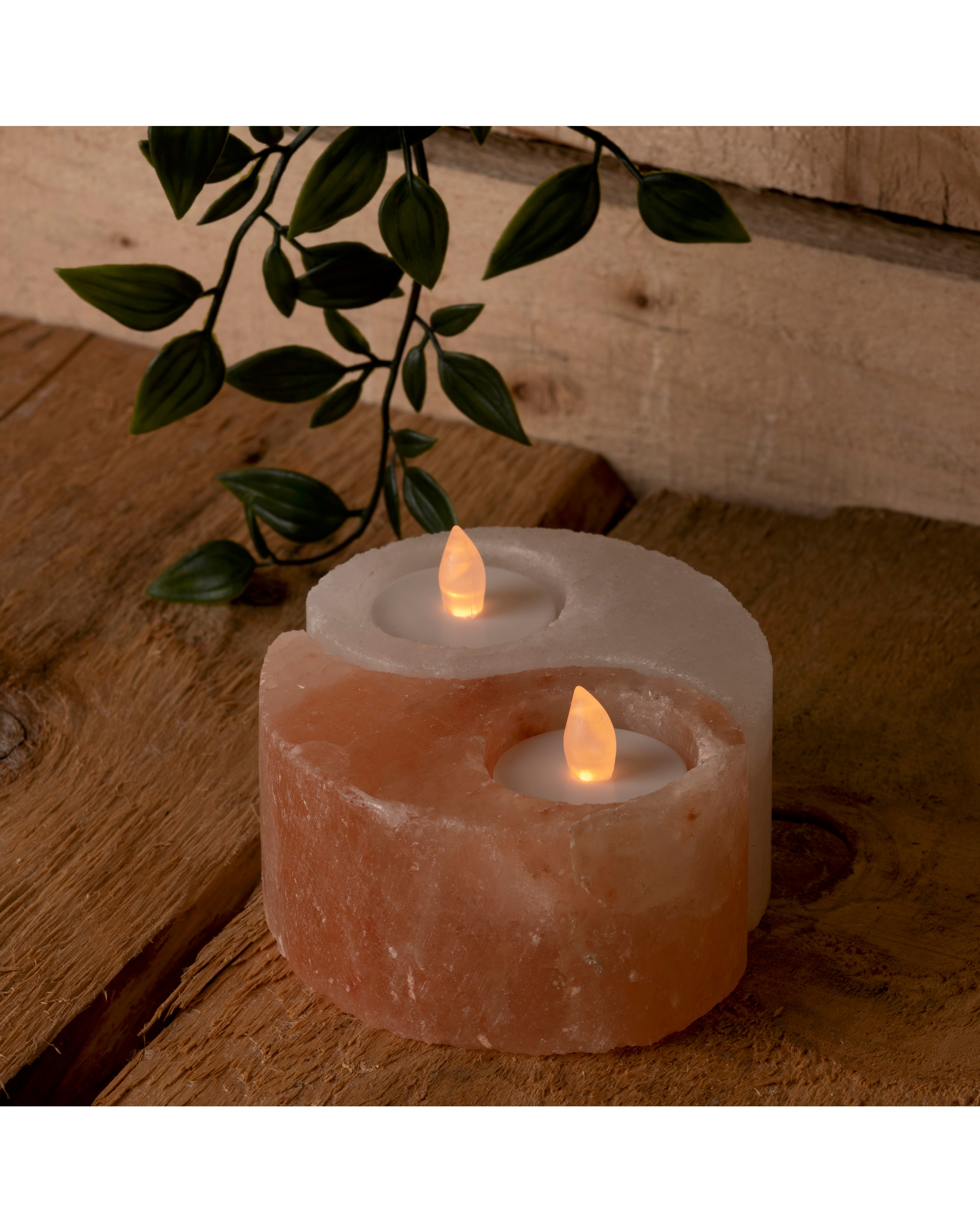 Serenity Yin and Yang Rock Salt Holder