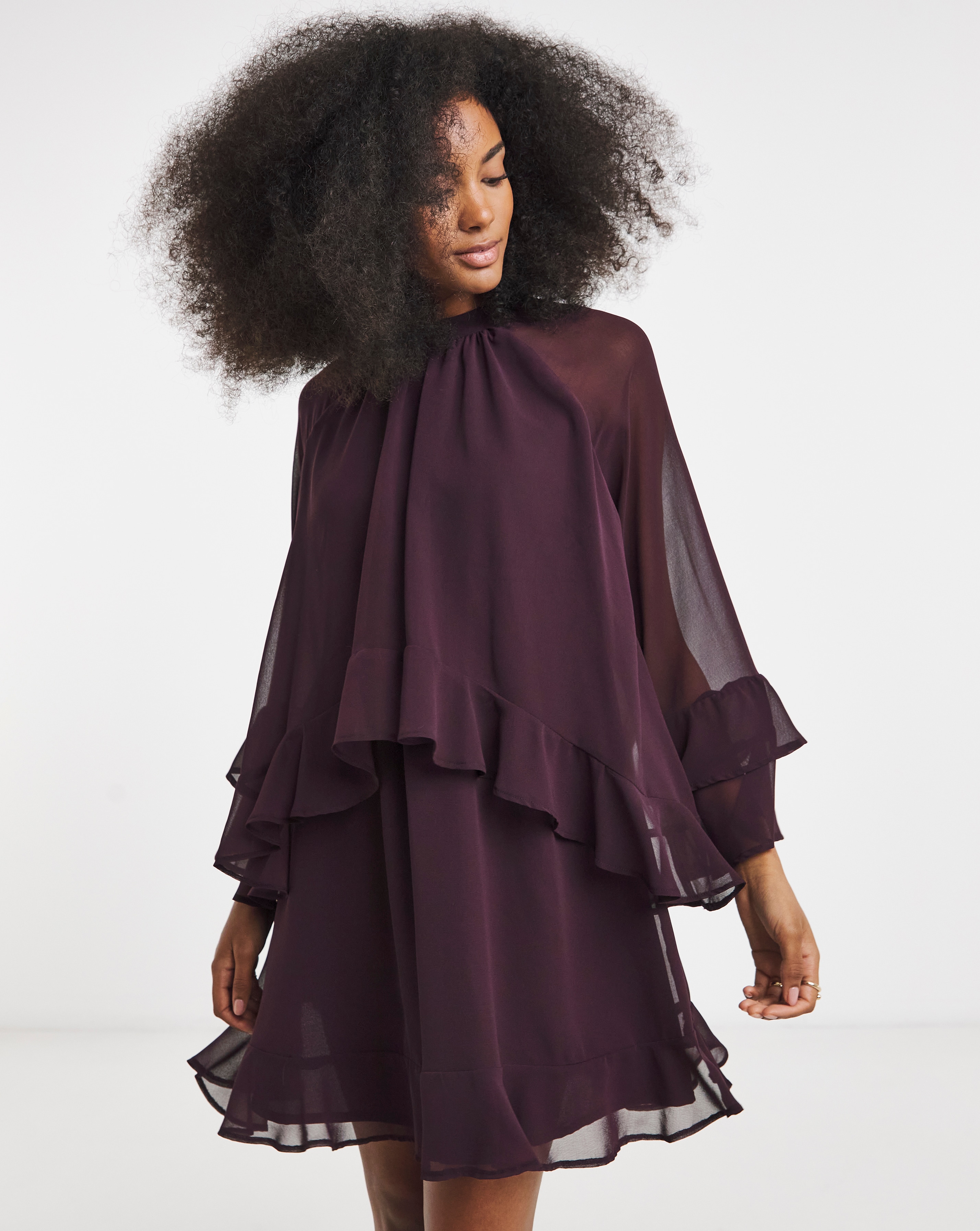 Plum Georgette Frill Skater Dress