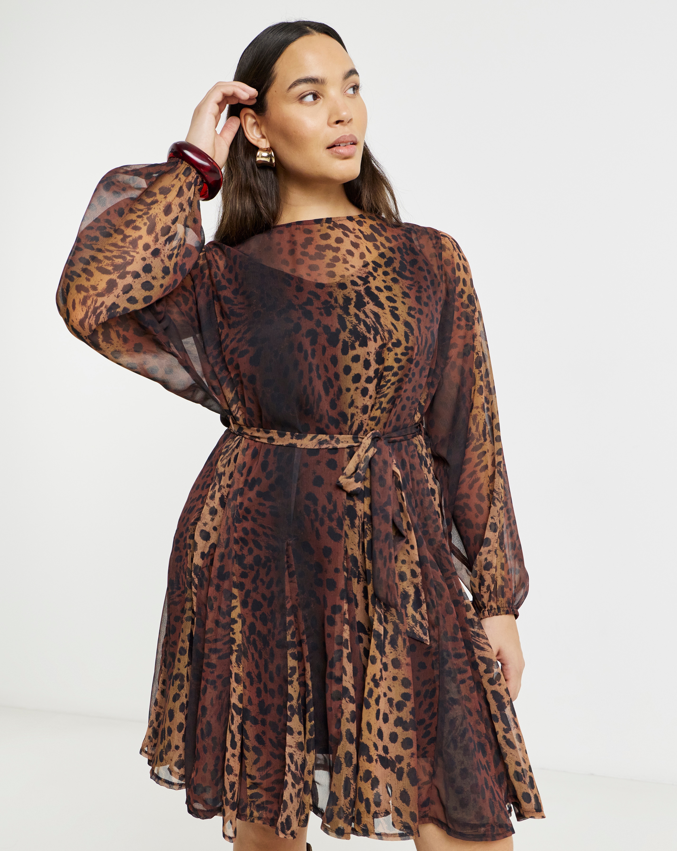 Leopard Print Skater Dress with Godet