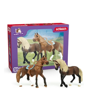 Schleich - Horse Club Paso Peruano Starter Set