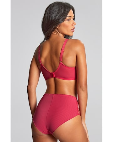 Panache Meadow Plunge Wired Bra Raspberry