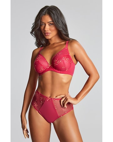 Panache Meadow Plunge Wired Bra Raspberry