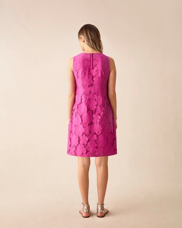 Ro&Zo Lace Mini Shift Dress
