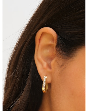 Jon Richard Gold Plated Stainless Steel Crystal And Polished Hoop Earrings