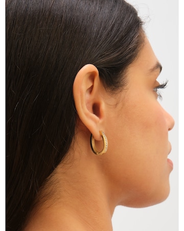 Jon Richard Gold Plated Stainless Steel Crystal And Polished Hoop Earrings