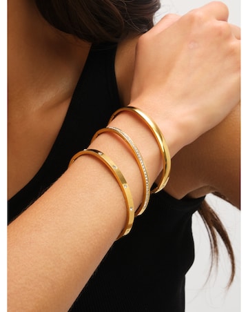 Jon Richard Sterling Silver Plated Stainless Steel Crystal Row Bangle