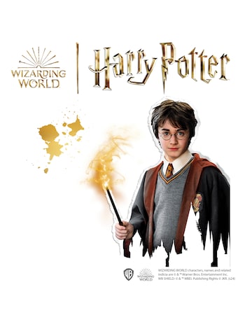 SES Harry Potter Diamond Painting
