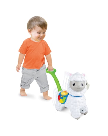 Winfun Push Along Little Alpaca
