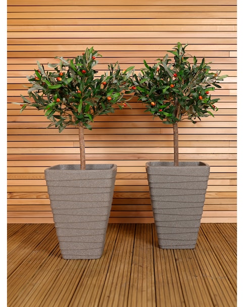 Charles Bentley Tall Square Trojan Granite Planters - Set of 2