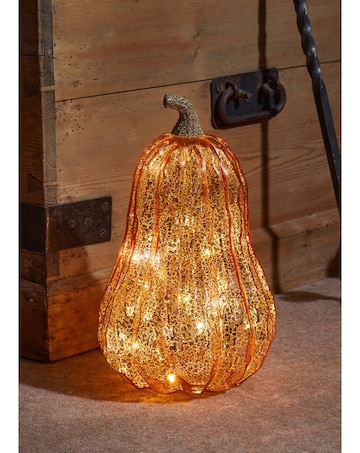 InLit Golden Squash