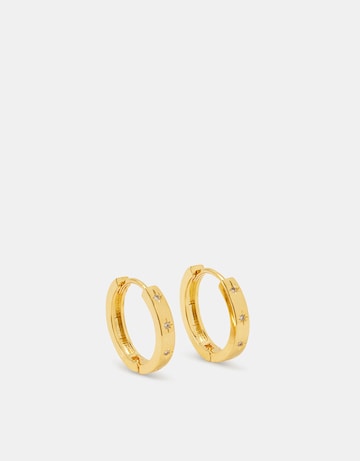 Accessorize Chunky Hoop Earrings