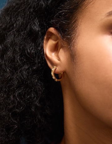 Accessorize Chunky Hoop Earrings