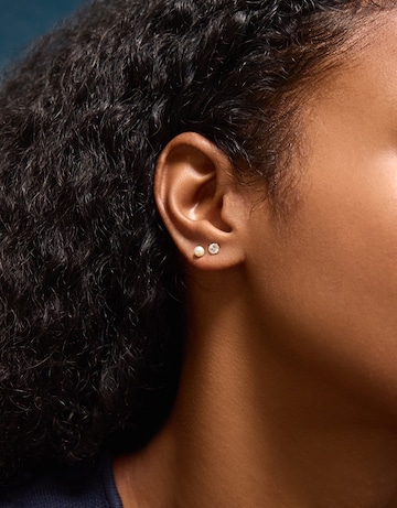 Accessorize 14ct Gold- Stud Earrings