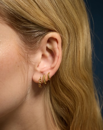 Accessorize 14ct Gold-Plated Earrings